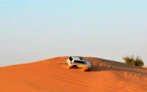 Desert of United Arab Emirates